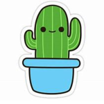 Pleasing Cactus ♡🌵