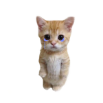 eemmooo