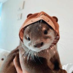 otterly