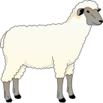 Beep Beep imma Sheep