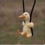 طط