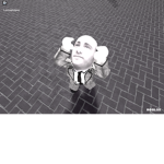 The Official Bald Detectives