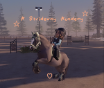 A Strideway Academy