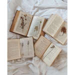 softie fairy tales <3