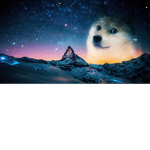 새싹