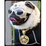 The Rocking Dogs