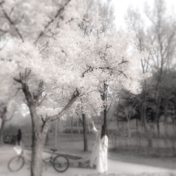 ✧