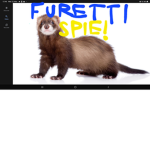 I Furetti Spie
