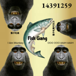 Fishgang group