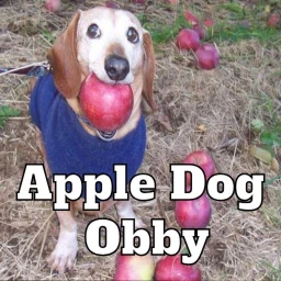 Apple Dog Obby icon