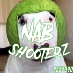 Nab shooterz