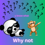???WHY NOT??