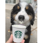 Bᴜʙʙᴇʟs sQᴜᴀᴅ
