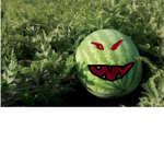 ARMY OF THE MELONS