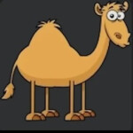 Camel 🐪