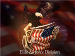 elite airforce division