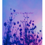 Little|Lavender| calming