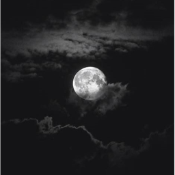 silence