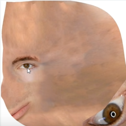 Albert Texture Roblox decal
