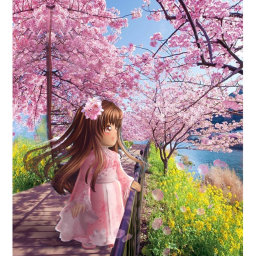 Blossom Hangout!