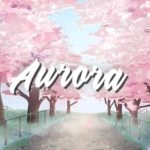 •Aurora clothing!
