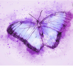 Lil purple squad