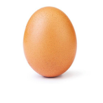 Egg Market