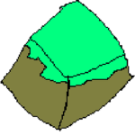 NC Dev