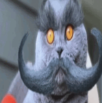 -===-------