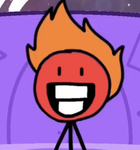 *+- the pookies -+*