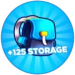 +125 Storage