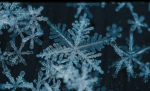 Snow Flakes angels