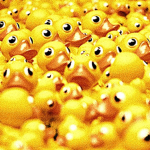 Duckboat