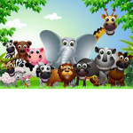 The Animal Vibe