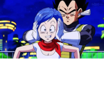 bulma bunny fan group