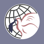 Non-Aligned Initiative