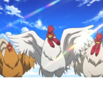 Chicken masters group