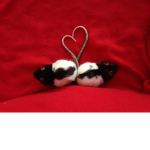 Love Rat Army