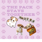 Doggehs Club