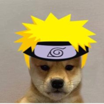Dogey Doge Clan