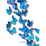 blue butterfliezzz