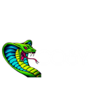 Cobra style (COSY)