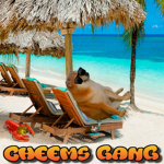 Old Cheems Gang