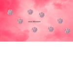blossom coco club