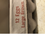 The_EGG