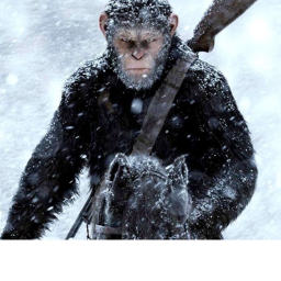 MonkeyZone [beta]