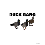 The duck gang army