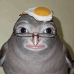bruh poop lol