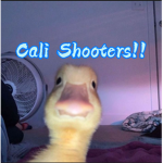 Cali Shooters!!