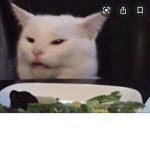 Admirals of CAT